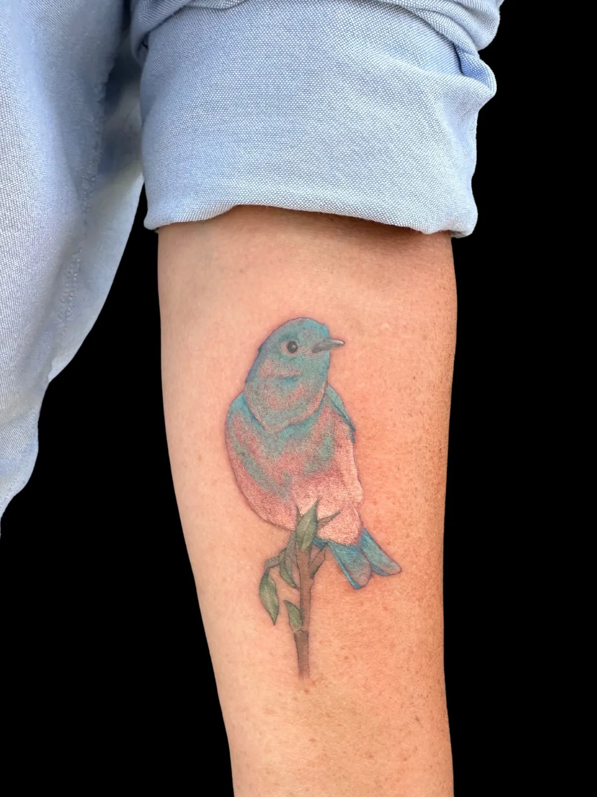 Blue watercolor bird tattoo by Lacey Rawson, Dublin Ohio