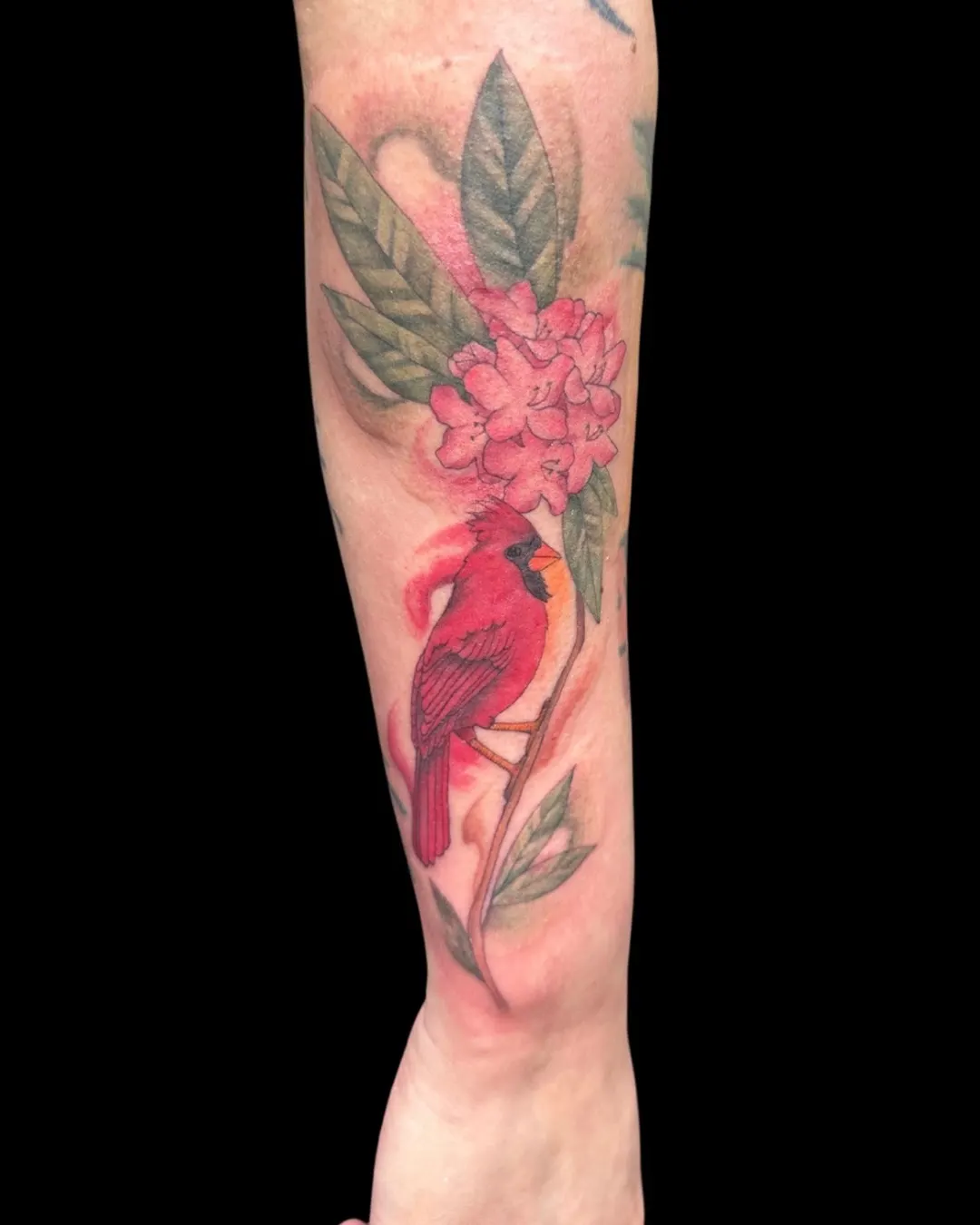 Cardinal color tattoo by Lacey Rawson
